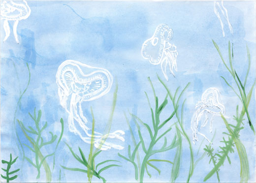 海の中のクラゲ