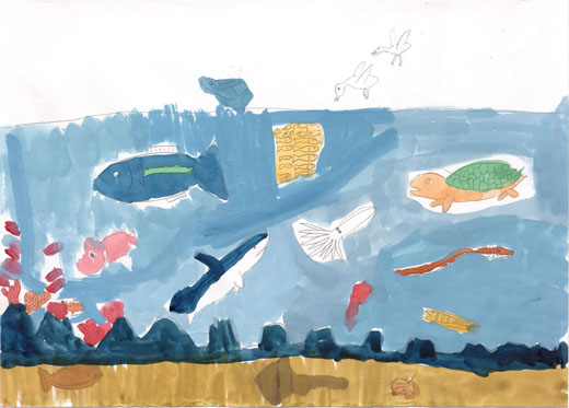 汚せんしていないきれいな海