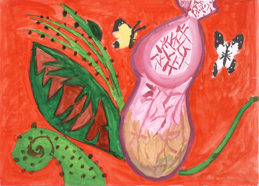 力強い食虫植物