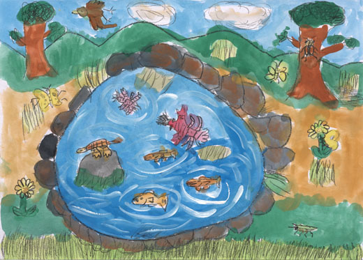 水のきれいな池