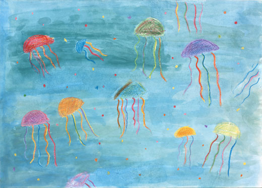 きれいな空気　水と生きもの