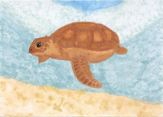 ウミガメの理想の海