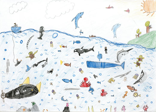 いきいき、わくわく海の中