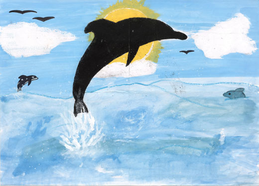 きれいな水でよろこぶいるか