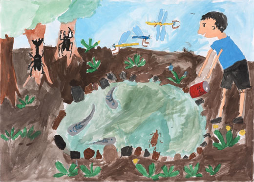 むしたちのすみかをまもる