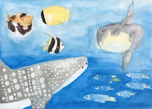 ただようジンベエザメと魚たち