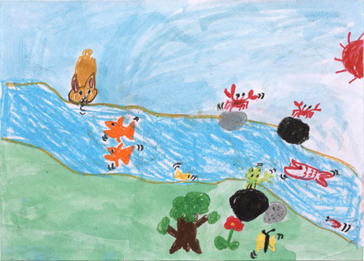 これからもきれいにしたいな大入川