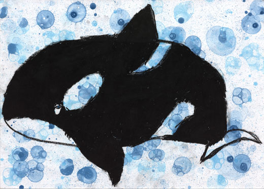 一番すきなシャチ