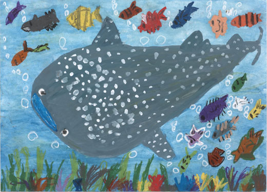 きれいなうみのなかまたち。