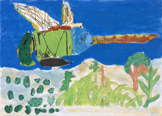 池の上を飛ぶギンヤンマ