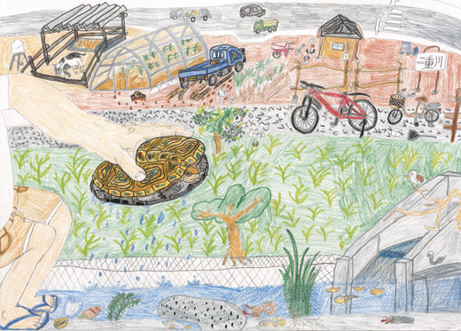 地元の川の風景