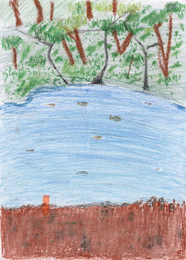 キャンプの大自然