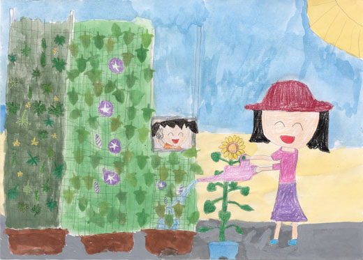 グリーンカーテン　エコカーテン