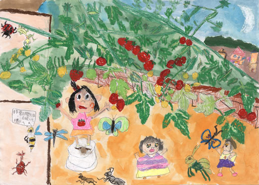 ベランダのトマトトンネル すごいでしょ