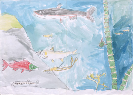 ゴミがひとつもない川と天ねんの生きものたち