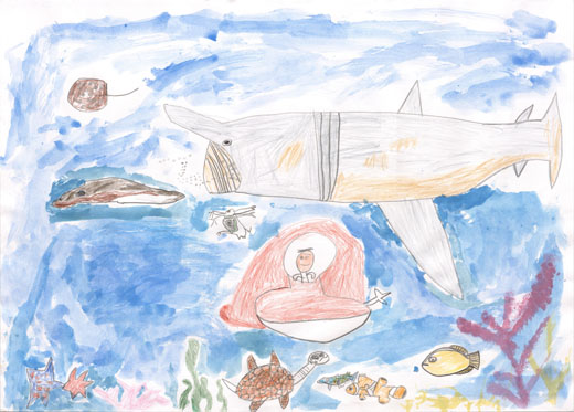 だいすきなうみのなかま