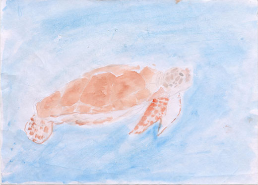 元気にすごすウミガメ