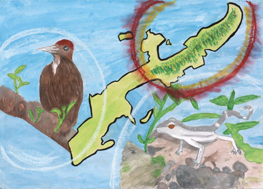 やんばるの自然