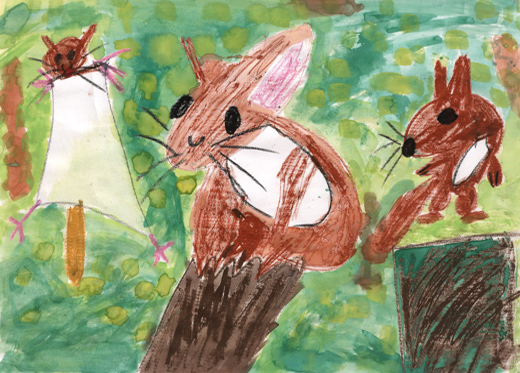 きれいな森のどうぶつたち