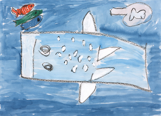 ジンベイザメがいる海