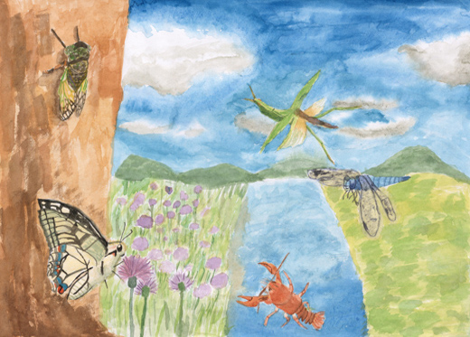 宮崎での夏休み生活