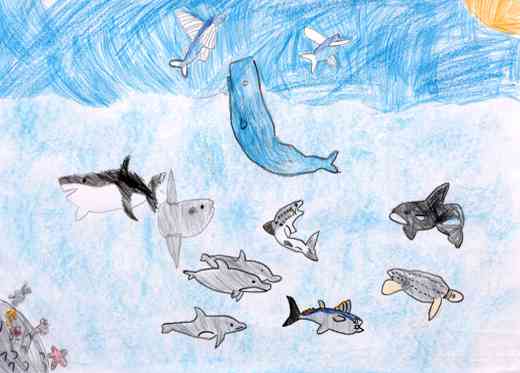 元気に泳ぐさかなたち