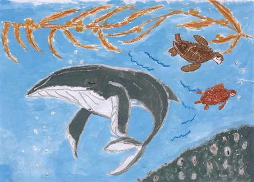 きれいな海のいきものたち