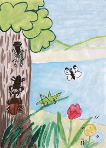 自ぜんを守ろう