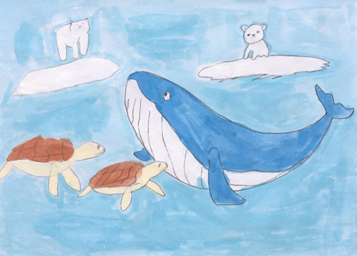 きれいな海でくらす生き物