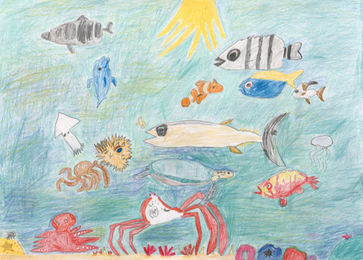 光がいっぱい　おだやかな海