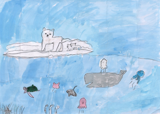 きれいな海で、およぐ生きもの