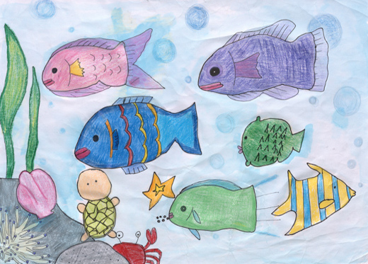 ゴミがなかったらきれいだよ