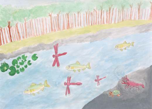 きれいな空気・水と生きもの