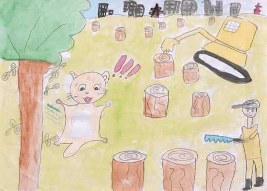 限られた土地は人間だけのものじゃない