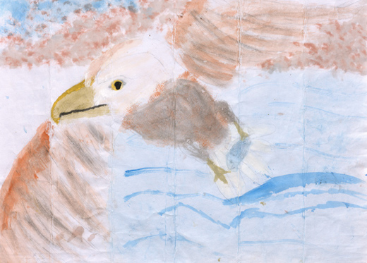 空高くとぶハクトウワシ