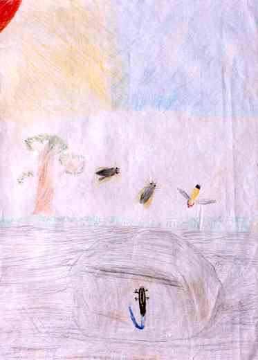 空を見るトカゲ