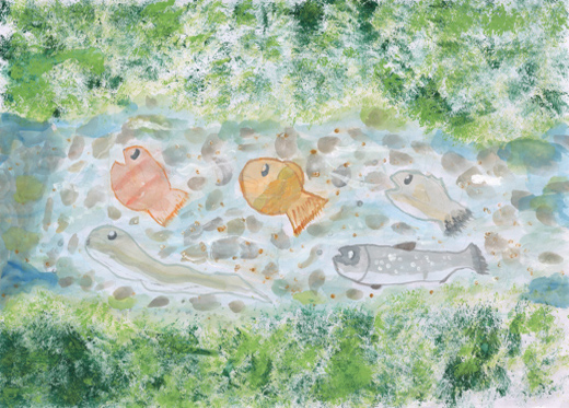 夏の森と夏の川