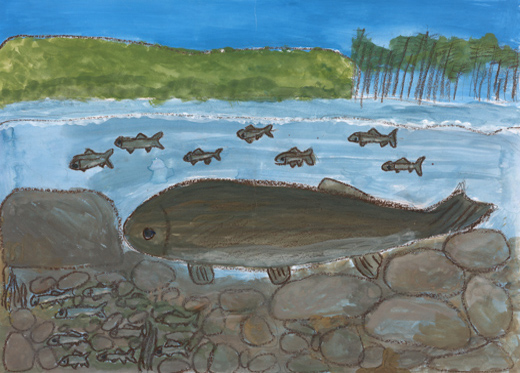 川で泳ぐ魚の群れ