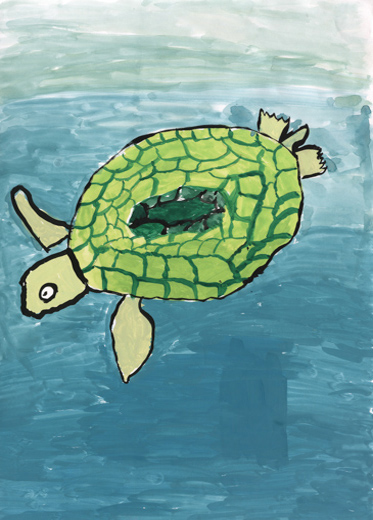 ウミガメときれいな海