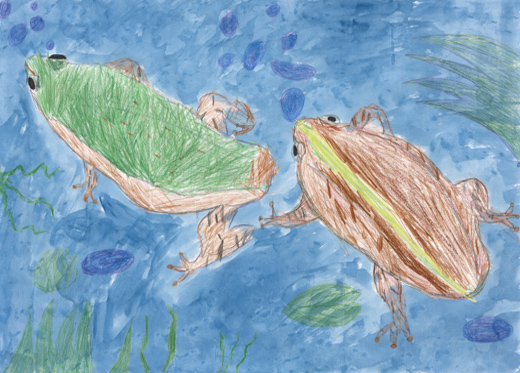 ゆっくりおよぐかえる