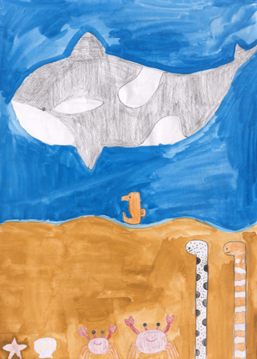 うみの生きもの