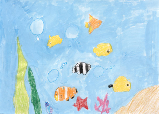 海でおよぐ魚たち