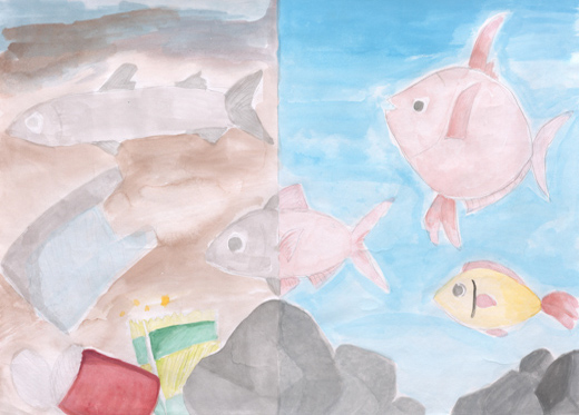 きれいな水ときたない水