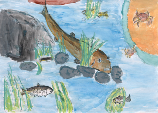 これからもきれいな川