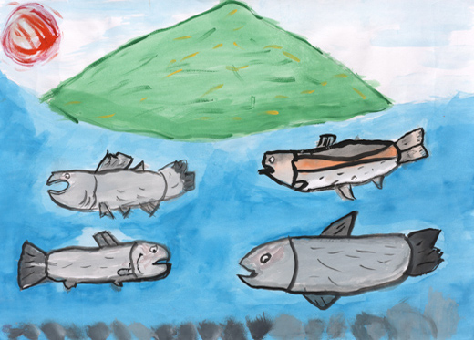 魚が住みやすいかんきょう