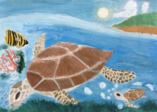 海の中のかんきょう