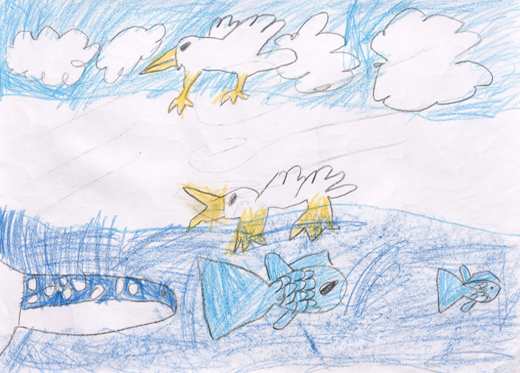 きれいな空気水と生きもの