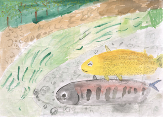 魚が幸せに暮らす様子