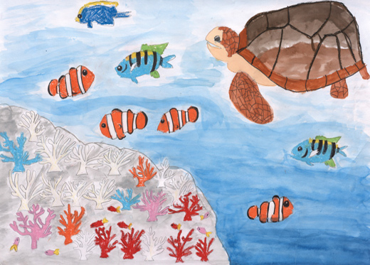 生き物がくらす海をまもろう