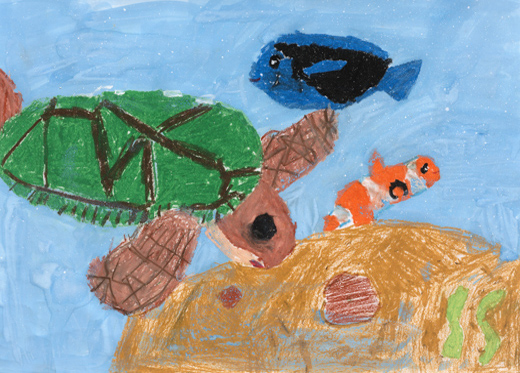 きれいな海にすんでいるカメ